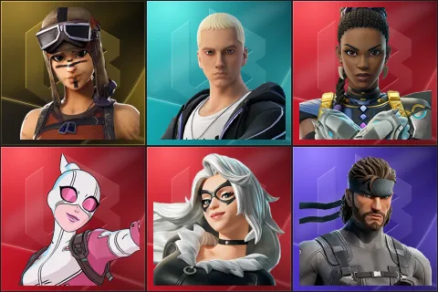 Renegade Raider, Slim Shady, Shuri, Gwenpool, Black Cat, Solid Snake