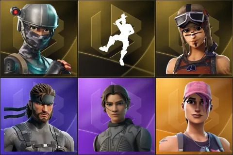 Elite Agent, Take The L, Renegade Raider, Solid Snake, Chani, Rose Team Leader
