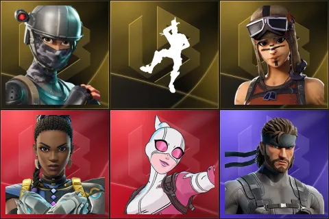 Elite Agent, Take The L, Renegade Raider, Shuri, Gwenpool, Solid Snake