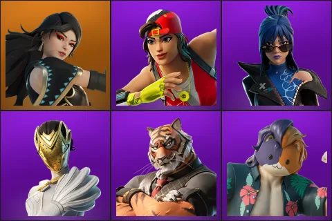 Era, Champion Sparkplug, Hope, Nisha, Oscar, Purradise Meowscles